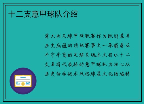 十二支意甲球队介绍